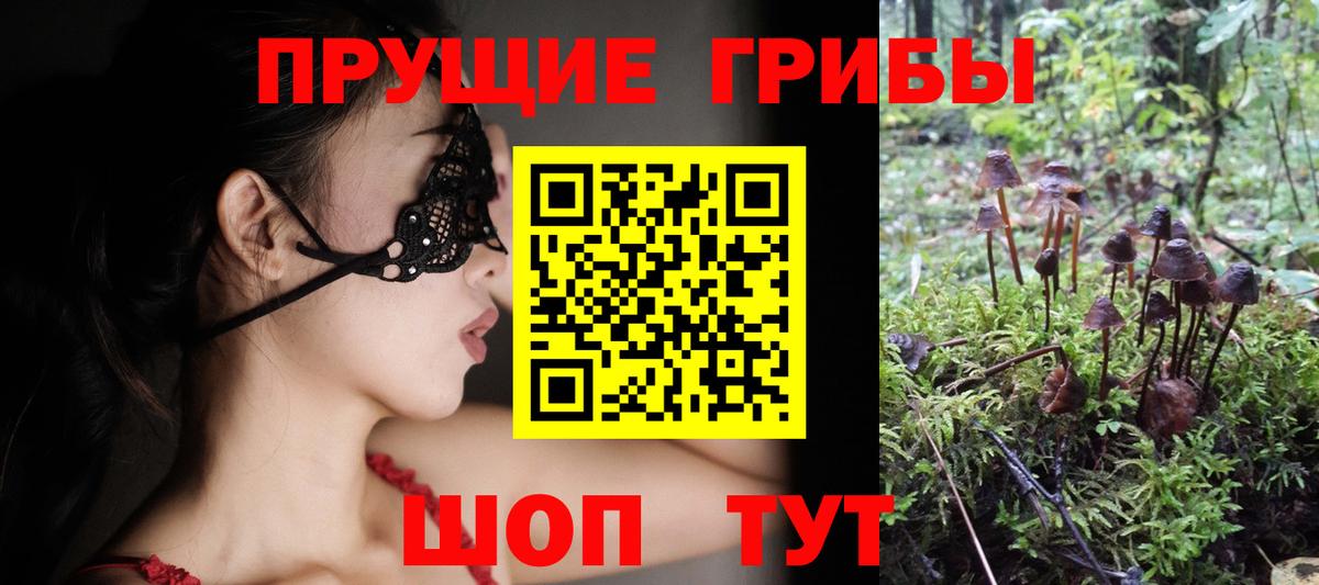 Галлюциногенные грибы Psilocybine cubensis  Вход с VPN  наркотики  Ростов-на-Дону 