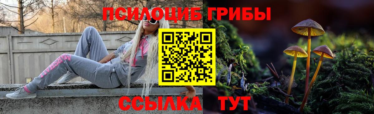 Галлюциногенные грибы Cubensis Ростов-на-Дону